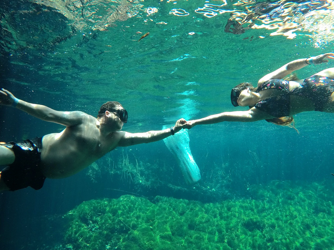 Akumal smile tours景点图片