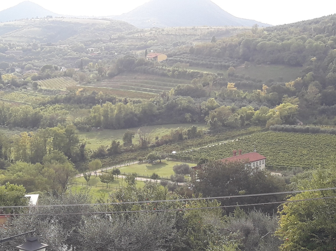 Borgo Petrarca主图