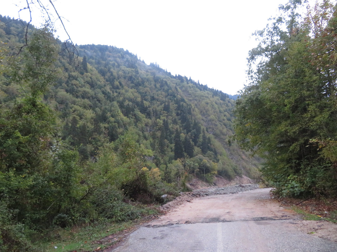 Mantania Tower主图