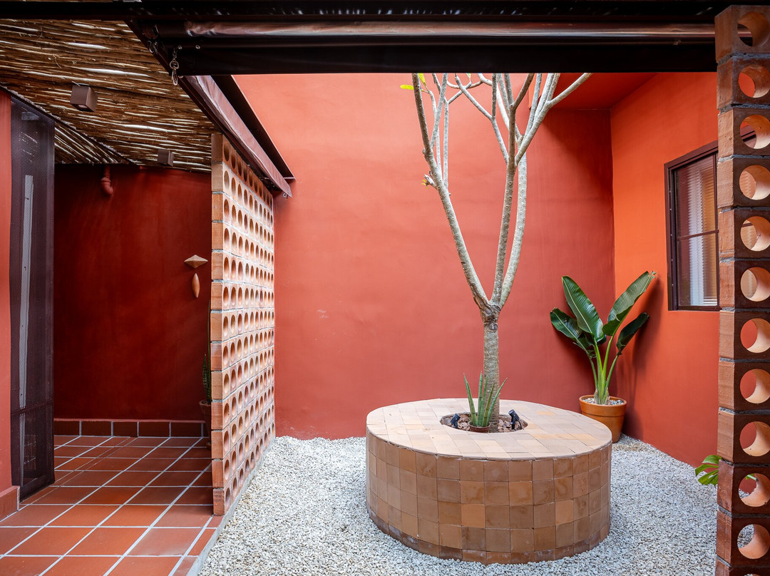 LIV - Centro Especializado em Massoterapia-圣保罗必去景点