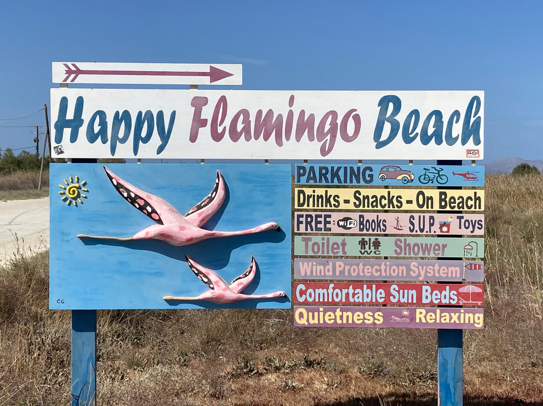 Happy Flamingo Beach景点图片