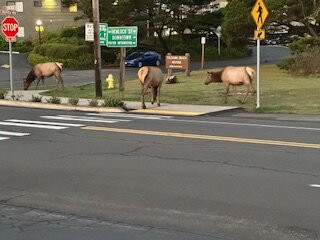 威赛德旅馆主图