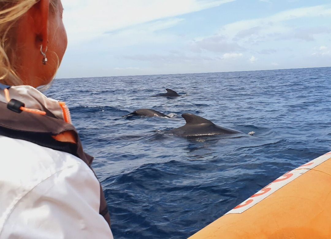 Top Tarifa-塔里法必去景点