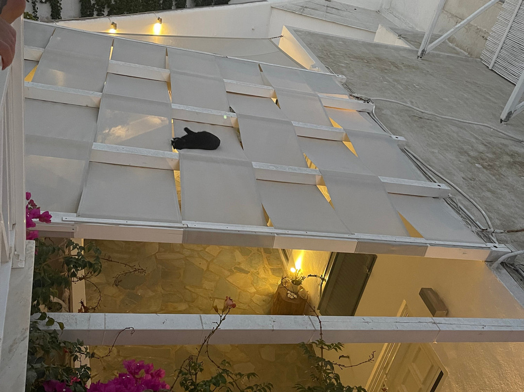 阿波罗精品酒店主图