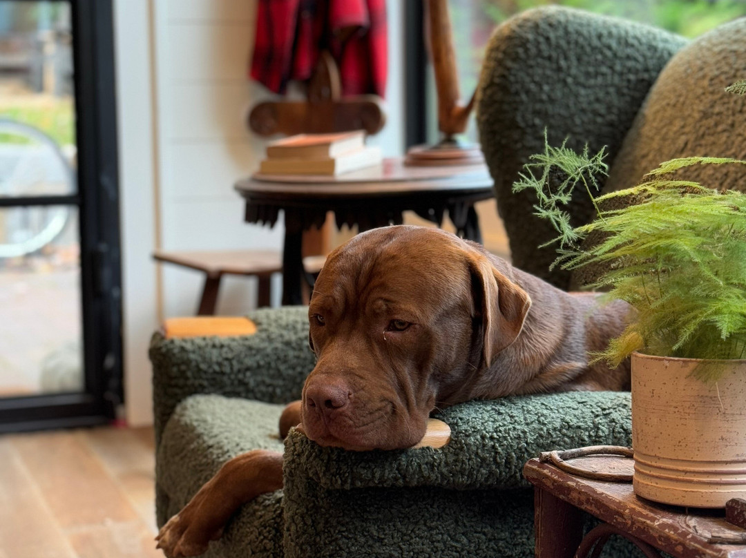 The Outpost Inn主图