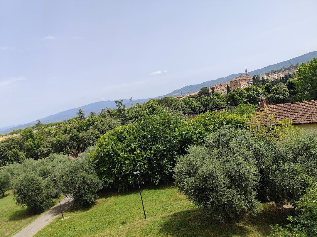 Parco Colle del Pionta景点图片
