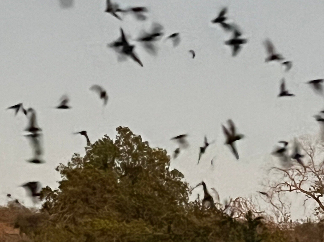 Old Tunnel State Park-弗雷德里克斯堡必去景点