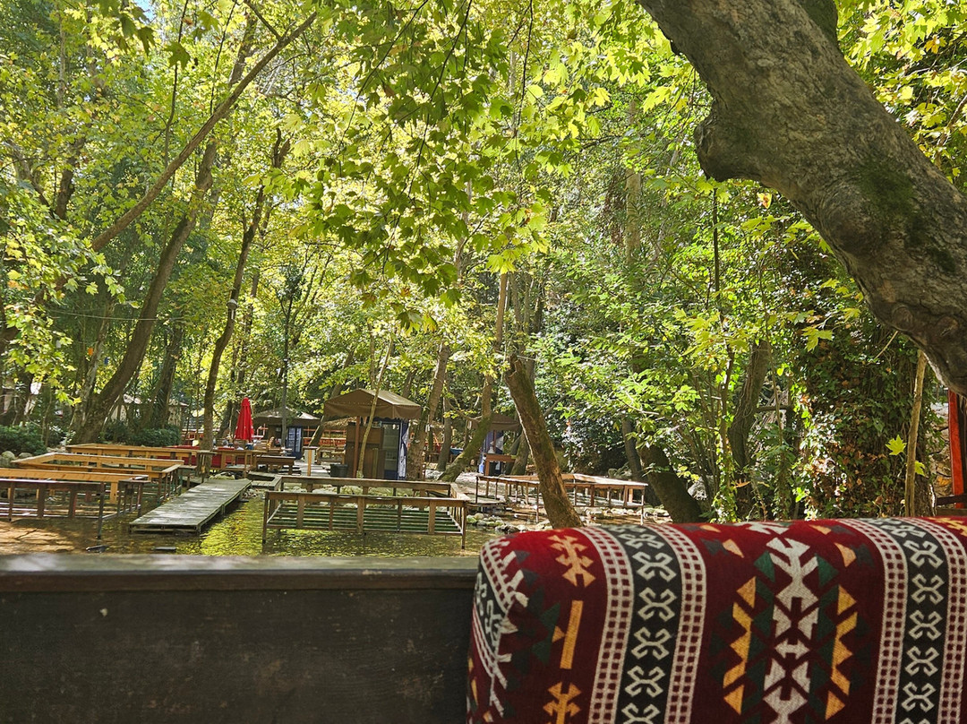 Ulupinar Fishing And Picnic景点图片