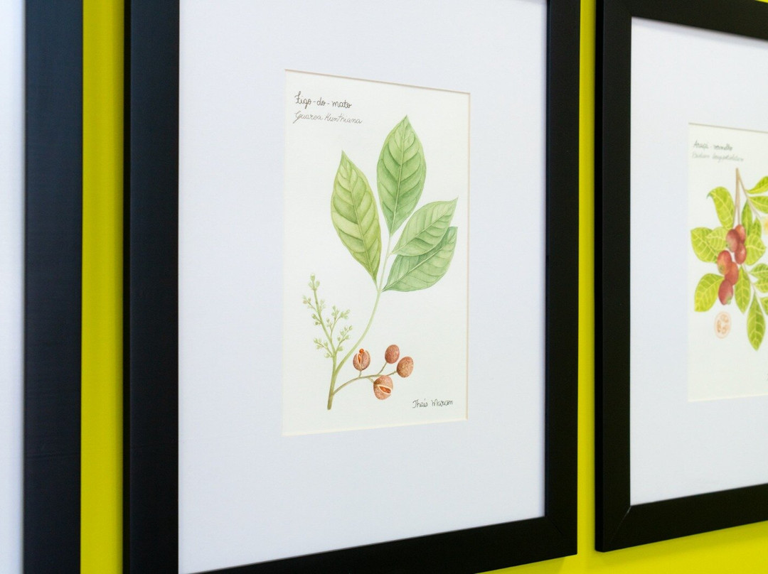 Itaipu Ecomuseu-伊瓜苏必去景点