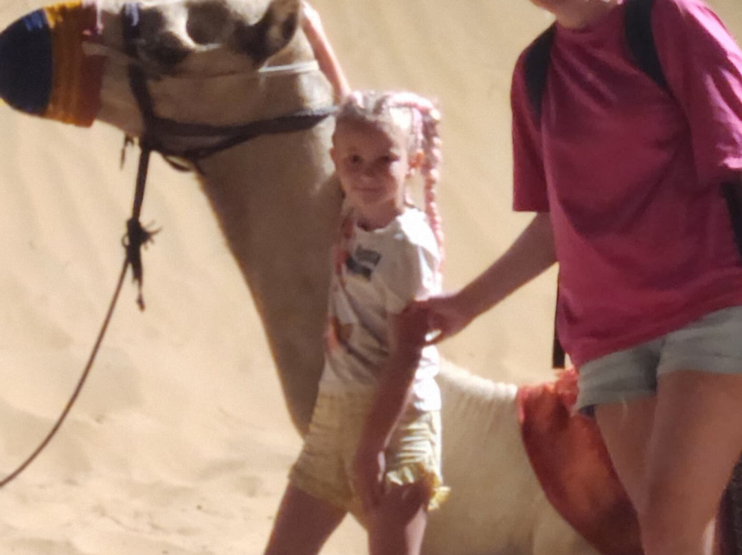 Welcome Dubai Tours-迪拜必去景点