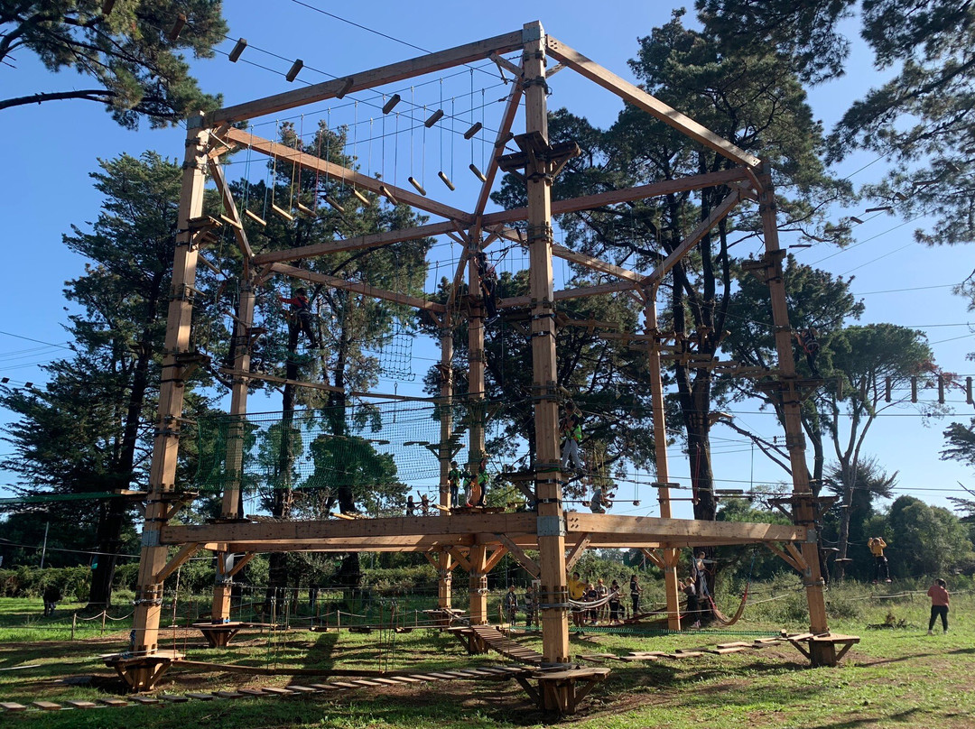 Parc Aventure Moriani景点图片