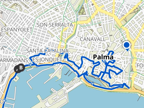 Baja Bikes-马洛卡帕尔马必去景点