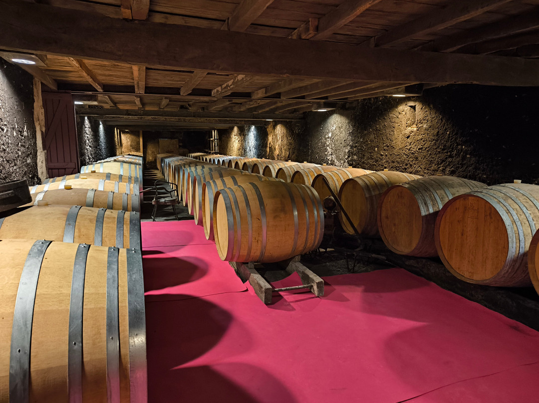 Domaine de la Grave - Vignobles Roche Teycheney景点图片