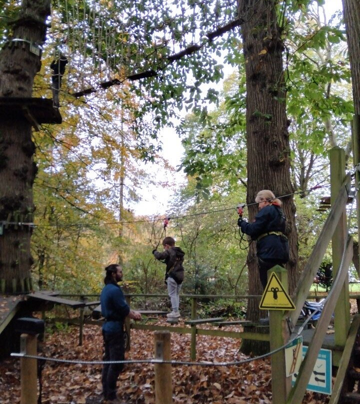 Go Ape Leeds Castle景点图片
