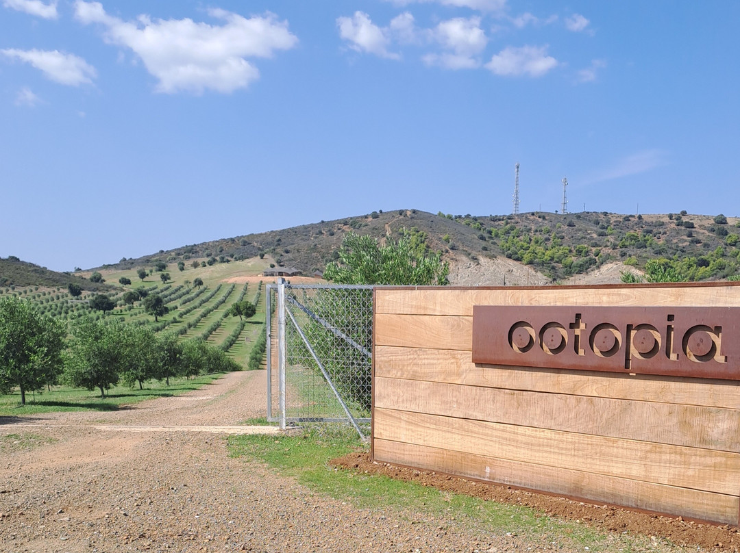 Ootopia The Olive Oil Estate - Ermioni, Peloponnese, Greece