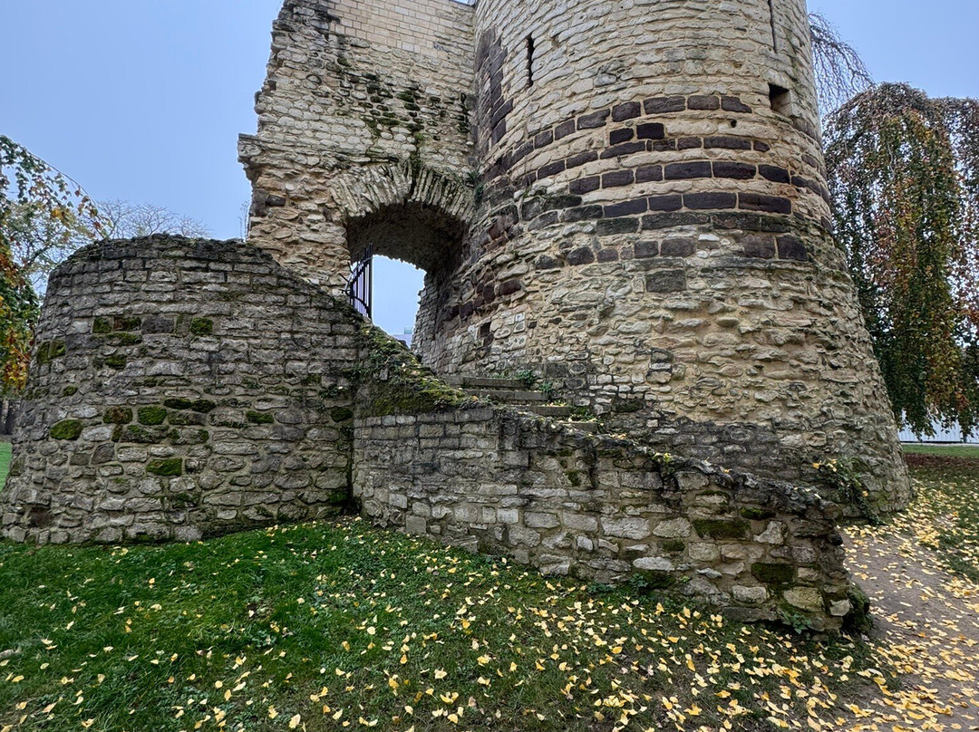 Sint-Donatuspark-鲁汶必去景点