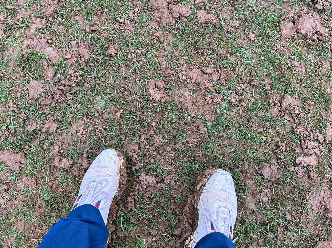 Bletchingley Golf Club景点图片