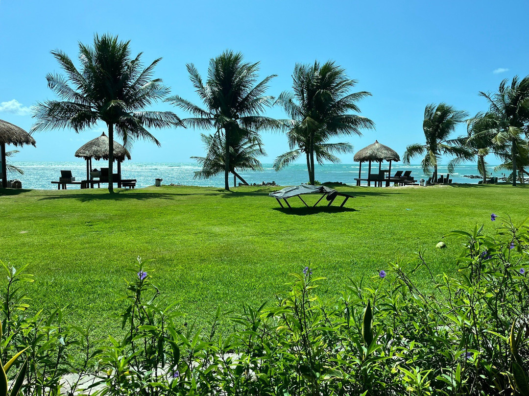 Serrambi Praia主图