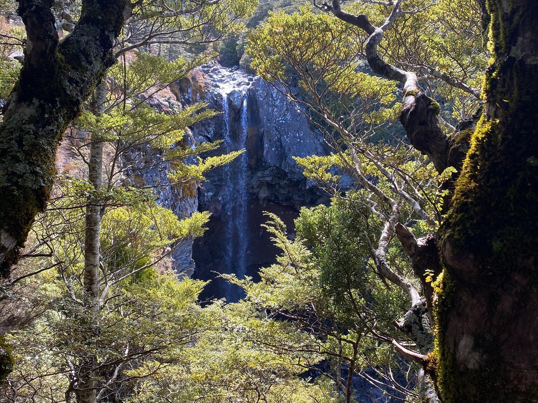 Waitonga Falls Track景点图片