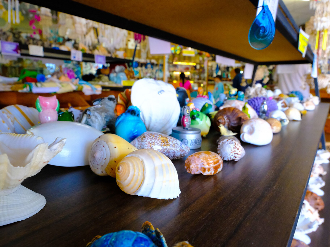 Griffiths' Sea Shell Museum & Marine Display景点图片