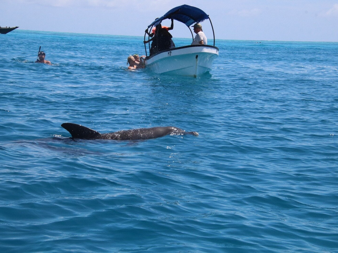 Jack Daniels-必韦久必去景点