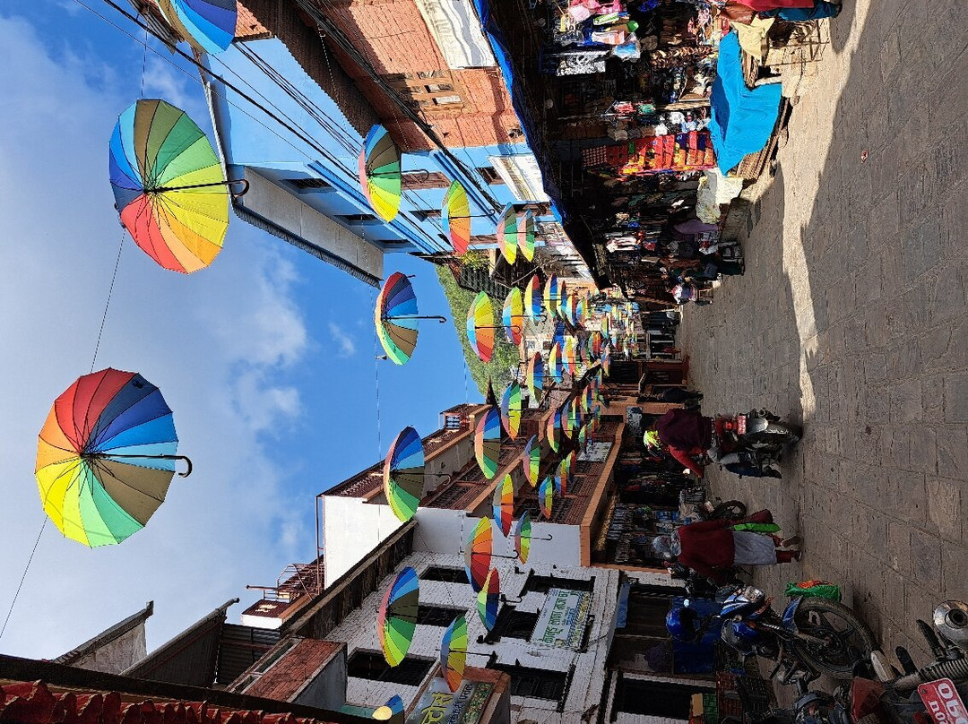 Horizon Homestay主图