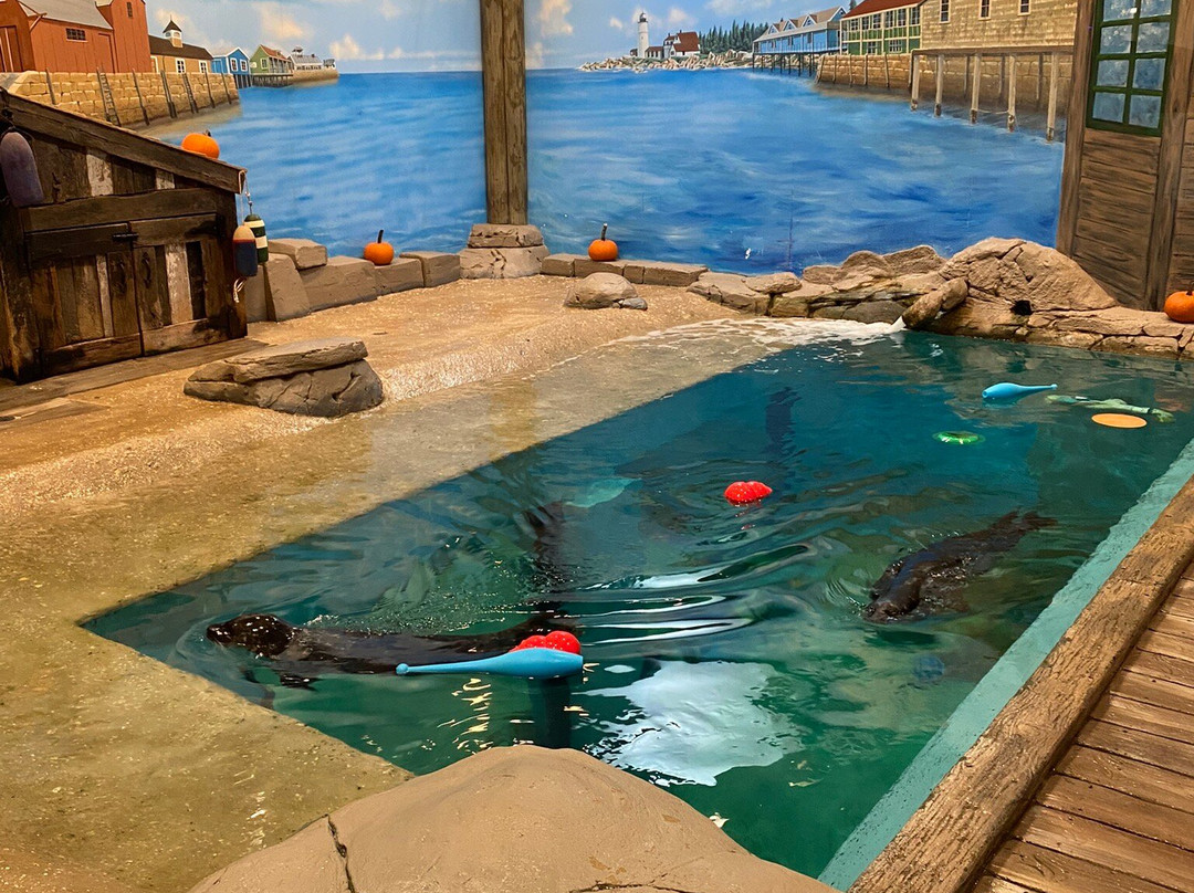 Jenkinson's Aquarium-波因特普莱森海滩必去景点