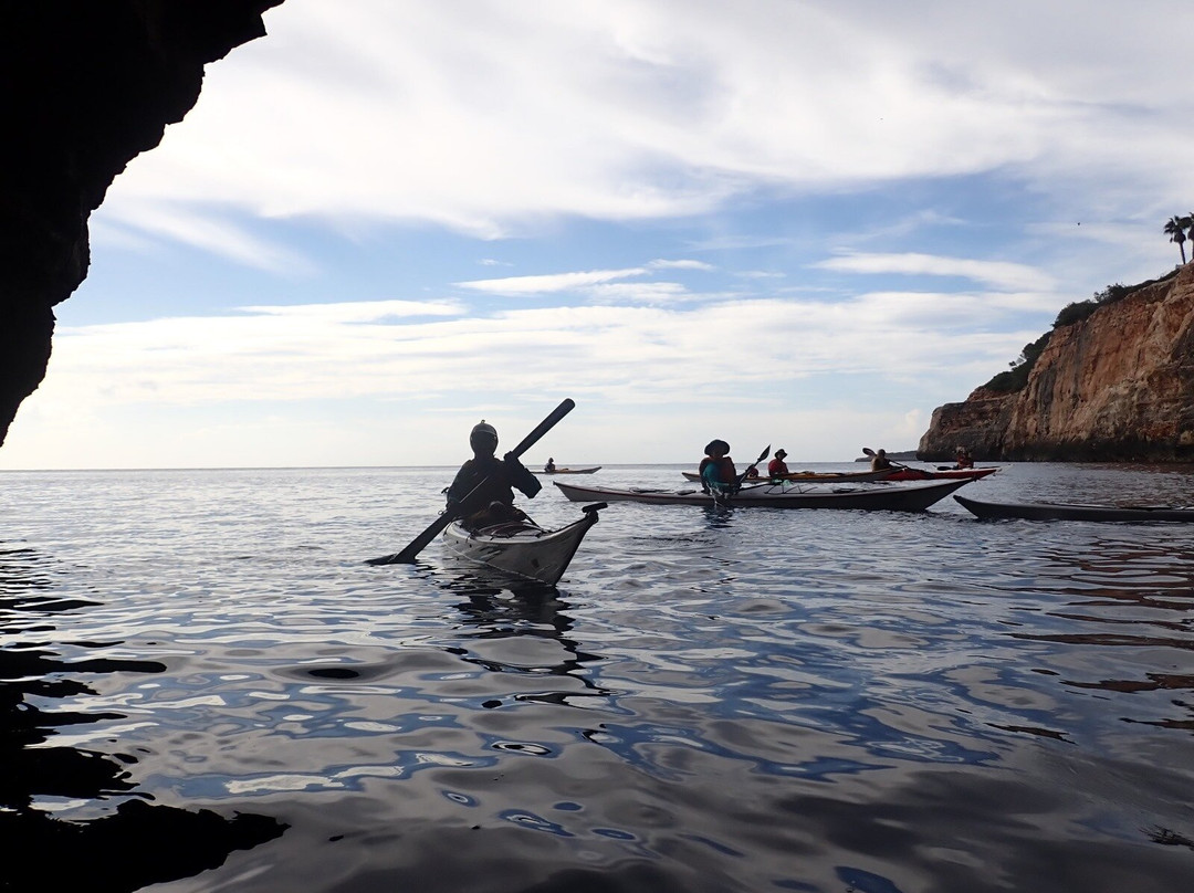 Sea Kayak Dorset景点图片