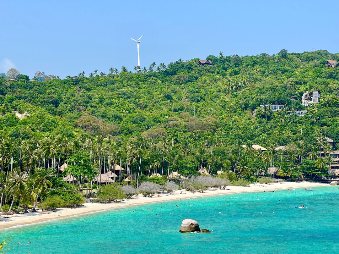 Free Beach To Shark Bay-涛岛必去景点