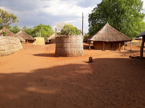 Treemma Travel & Tours-李文斯顿必去景点