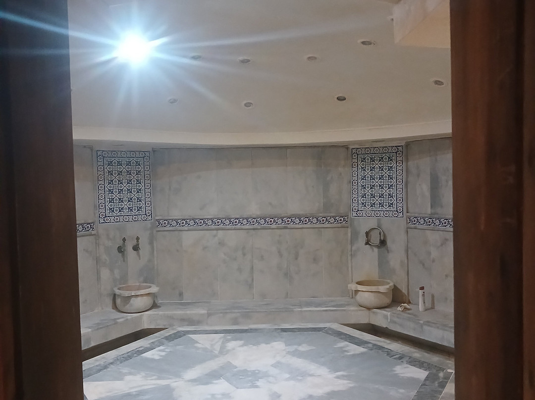 Historic Bardakci Hammam景点图片
