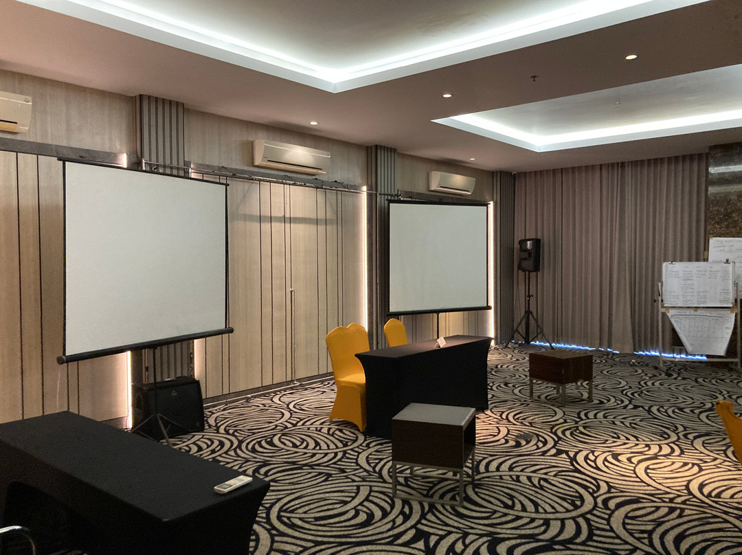 Palmy Exclusive主图