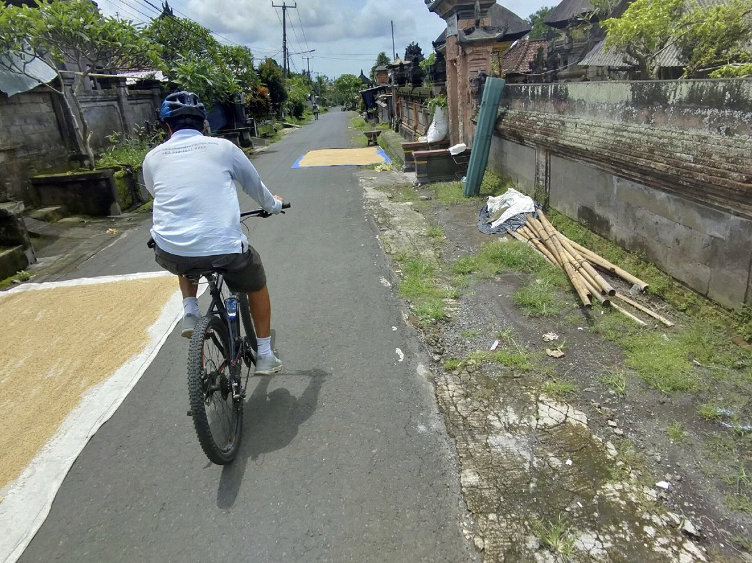 Bali Bike Adventures景点图片