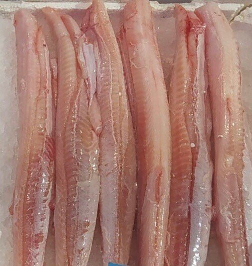 Chioggia Pesca - Mercato Ittico di Chioggia-基奥贾必去景点