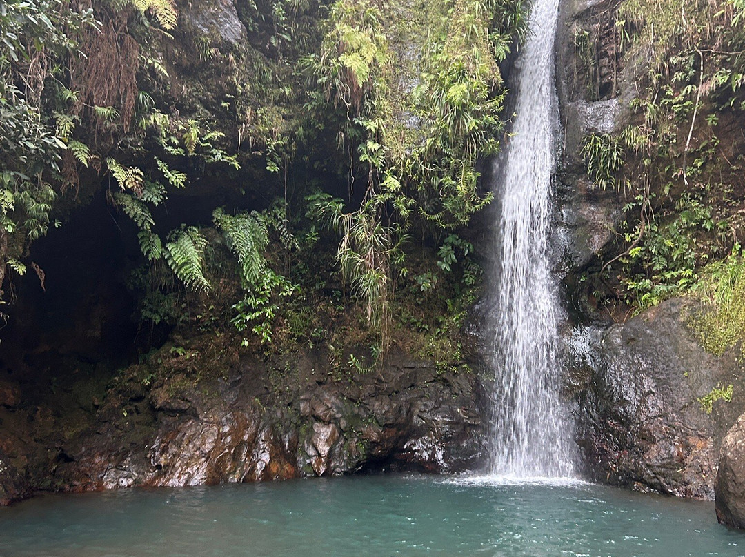 Flores With Me景点图片