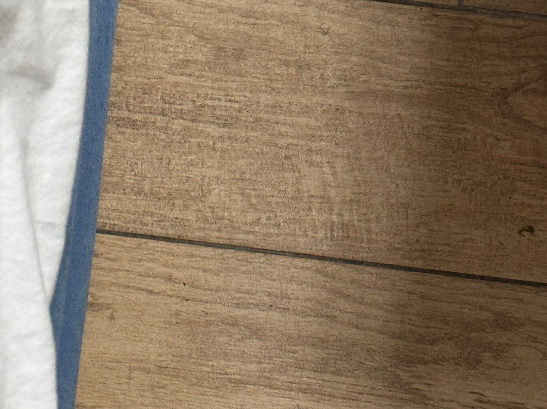 Days Inn by Wyndham Dahlonega主图