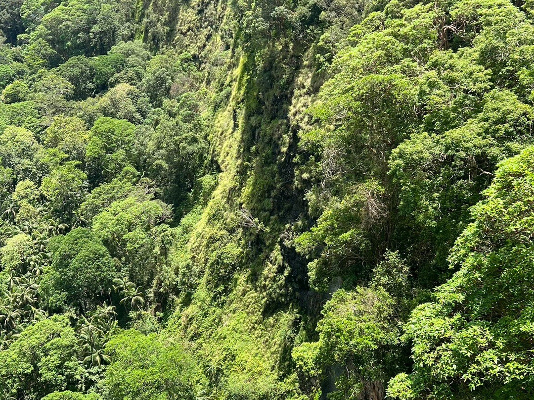 Mapleton Falls National Park景点图片