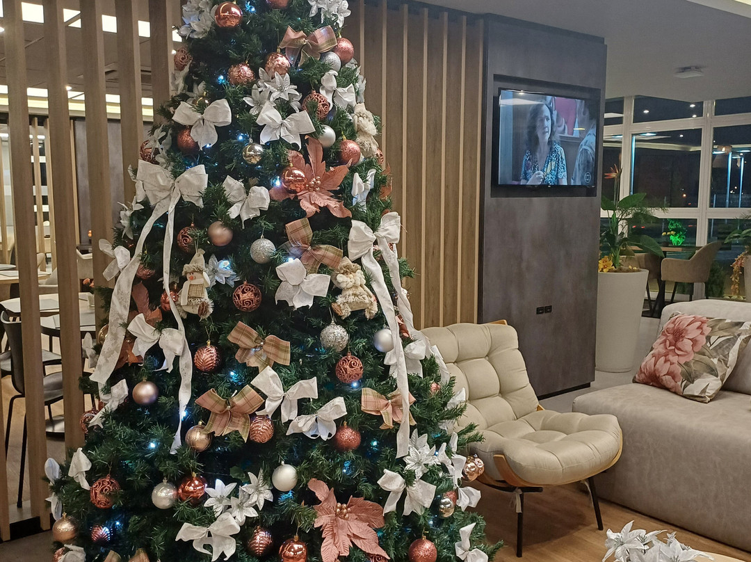 Hotel 10 Ponta Grossa主图