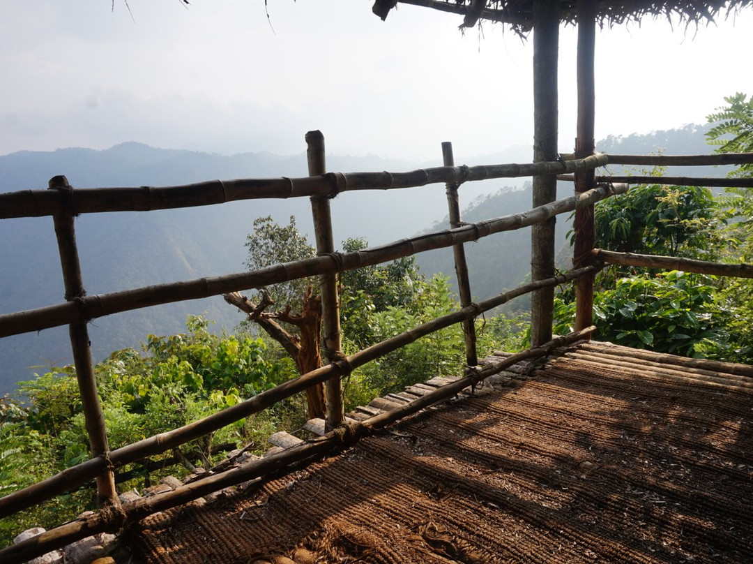 Aranyakam Homestay主图