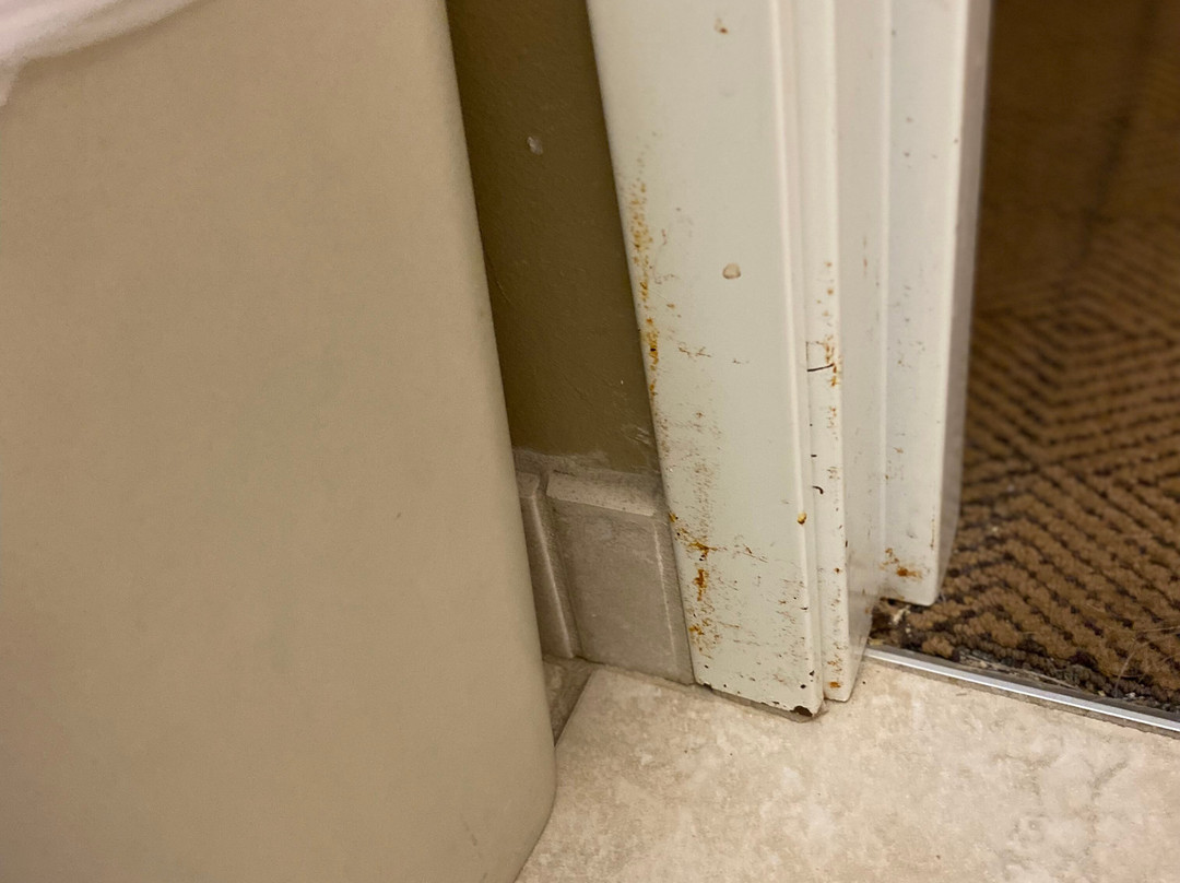 Microtel Inn & Suites by Wyndham Cambridge主图