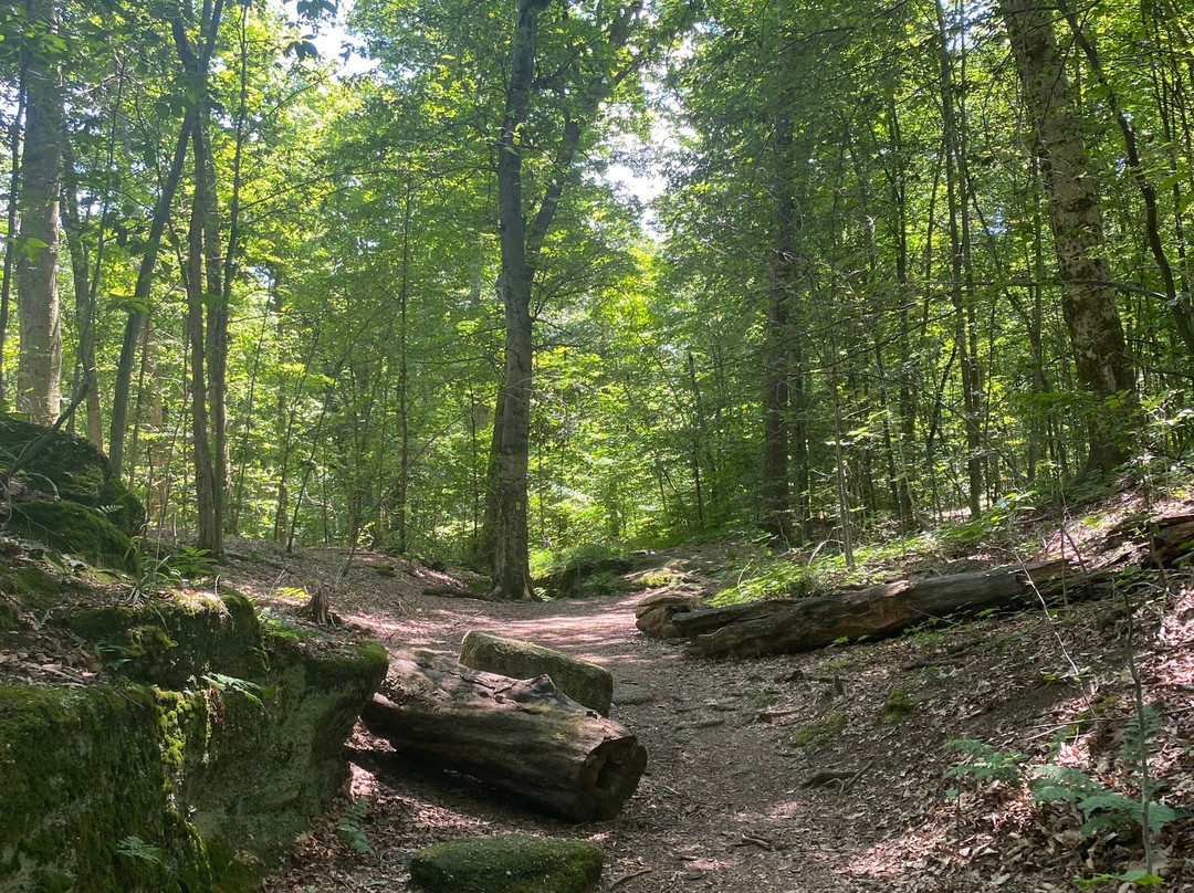 Nelson-Kennedy Ledges State Park-Nelson必去景点