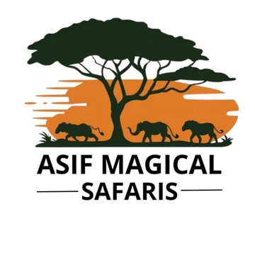 Asif Magical Safaris-瓦塔木必去景点