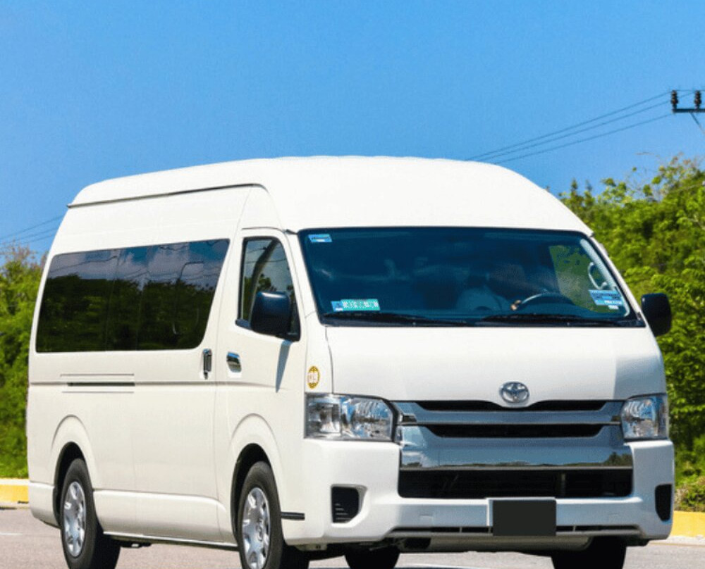 Maxi Taxis Brisbane景点图片