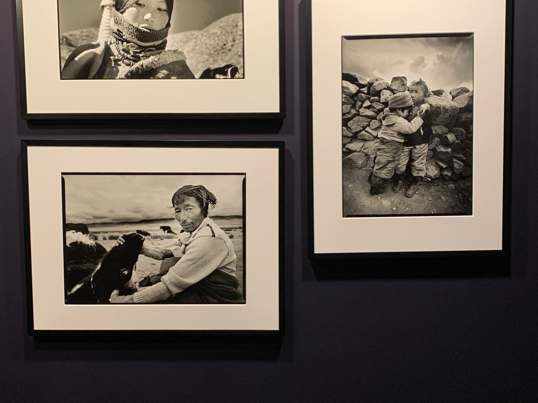 Tibet Museum景点图片