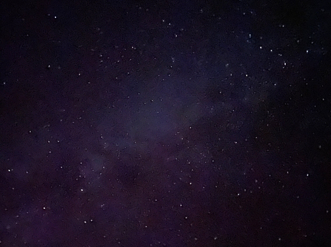 阿诺特之家主图