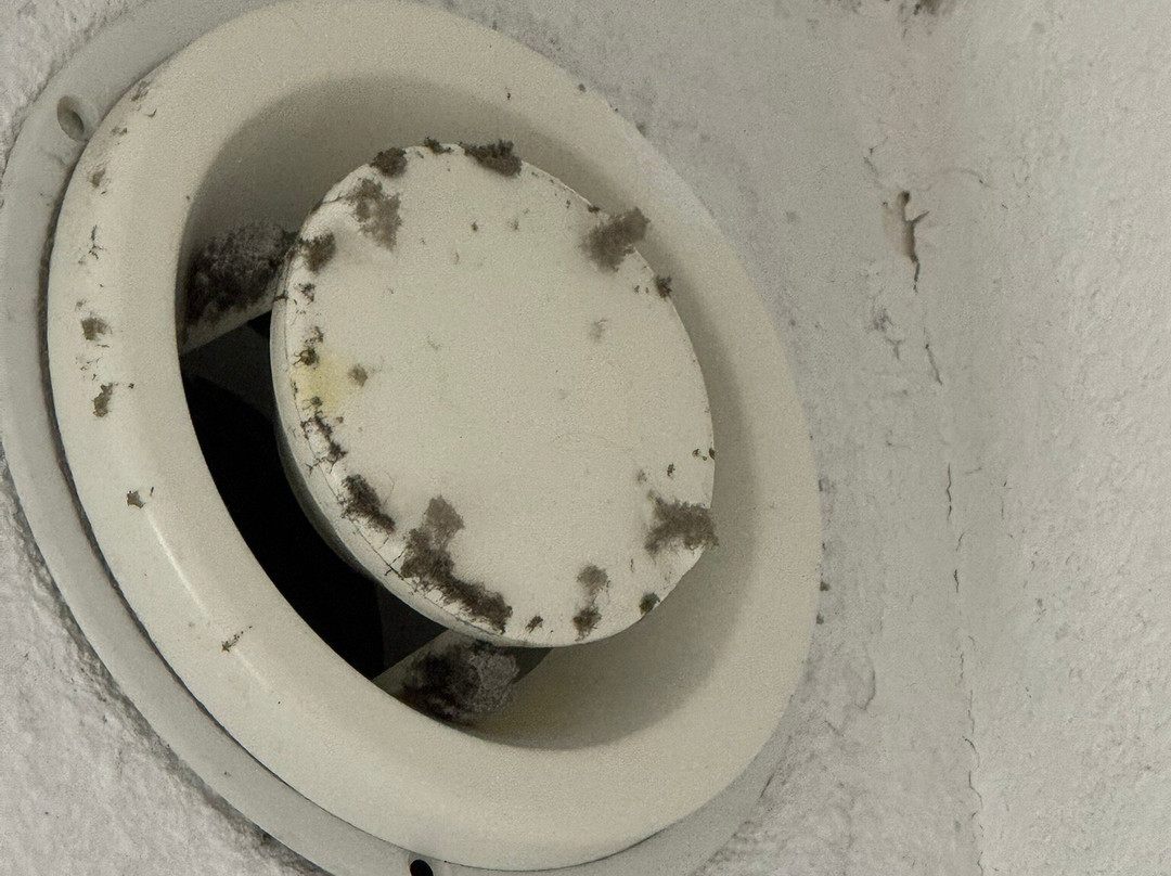 Odalys Essential Residence L'Ouillon主图