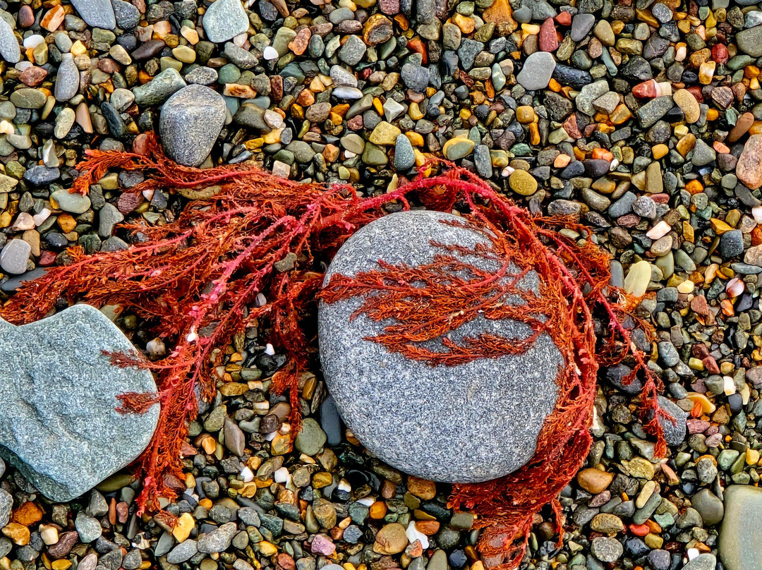 St Ninian's Cave-Whithorn必去景点