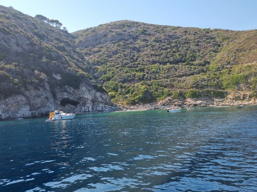Stefano Sub Diving Center景点图片