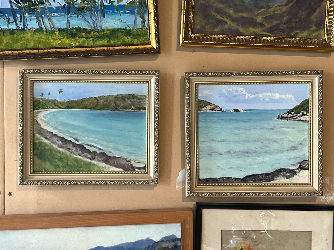 Playa Media Luna-维切克岛必去景点