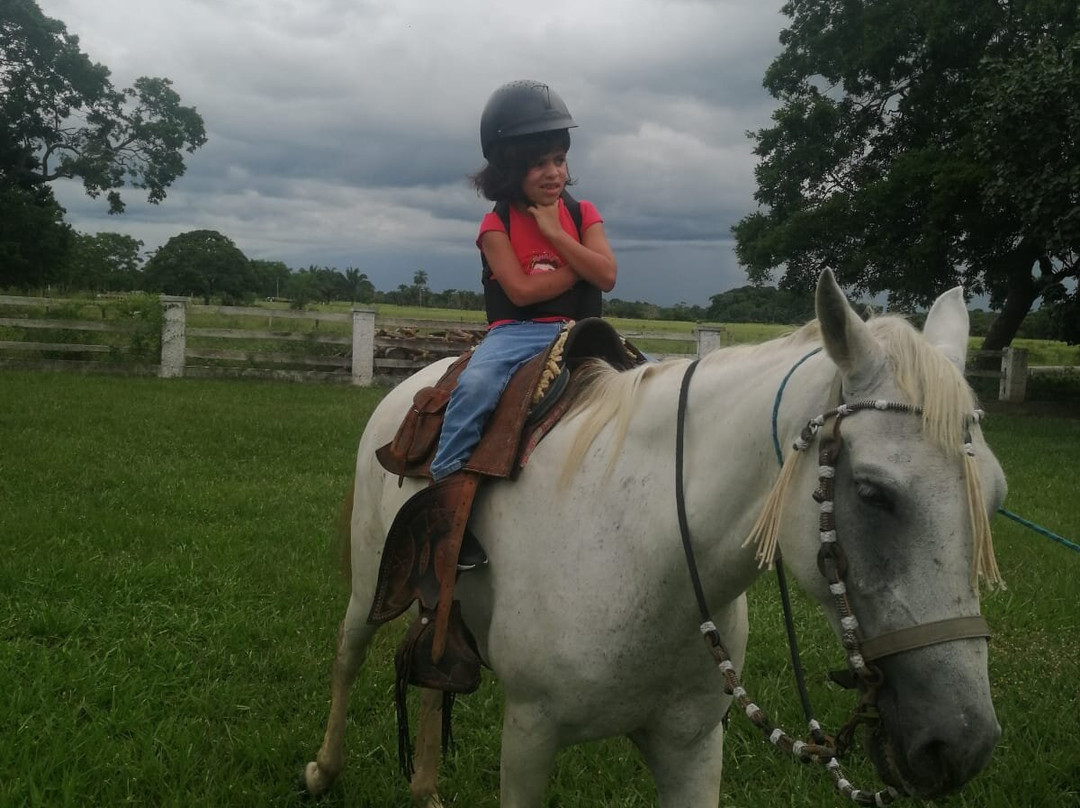 Hotel Spa Santa Maria La Antigua主图